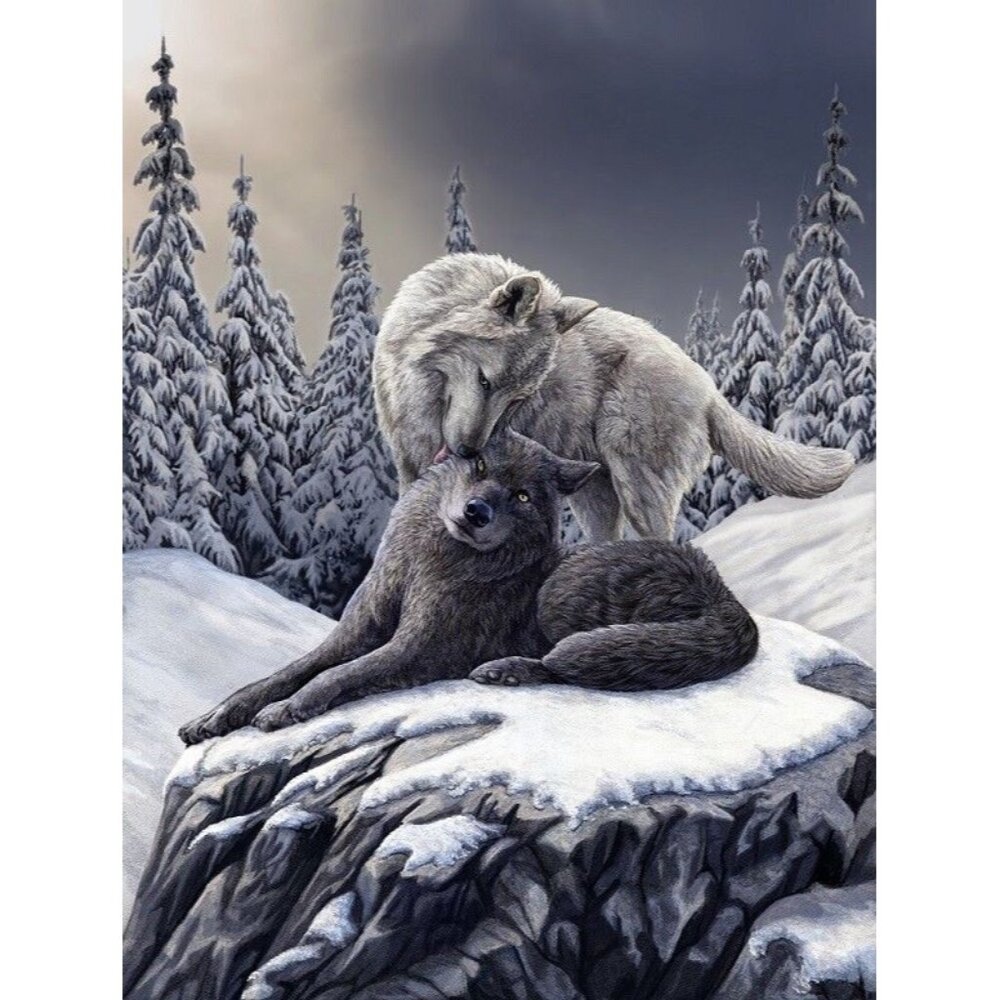 New Snow Kisses Wolf Wolves Plush Throw Gift Blanket Sherpa Lisa Parker SOFT NIP
